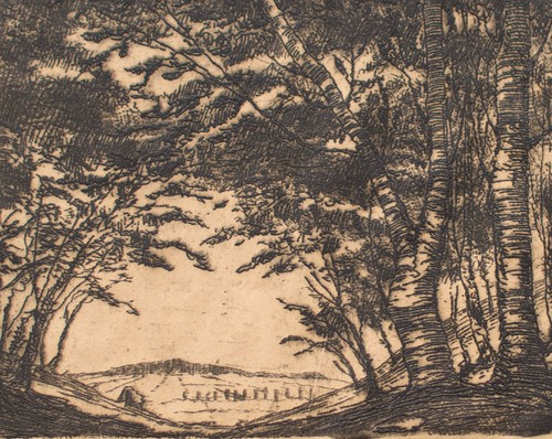 Landschaft birken feld - landschaft,