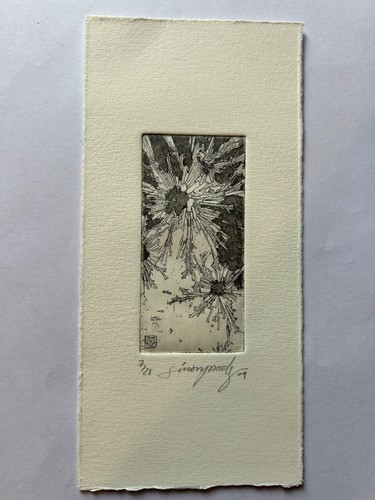 Exlibris fachhochschule trier - exlibris,,