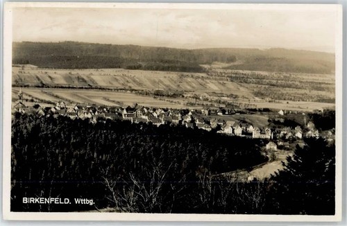 51062562 7534 birkenfeld - 51062562,
