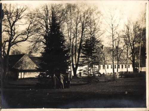 Foto birkenfeld der - birkenfeld,