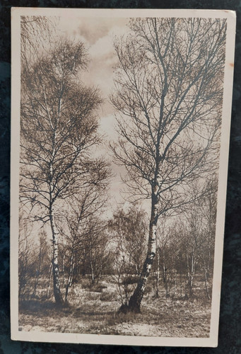 Feldpost karte art ers - feldpost, art.ers.abt.43