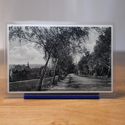 Bückeburg birken allee - birken-allee, im